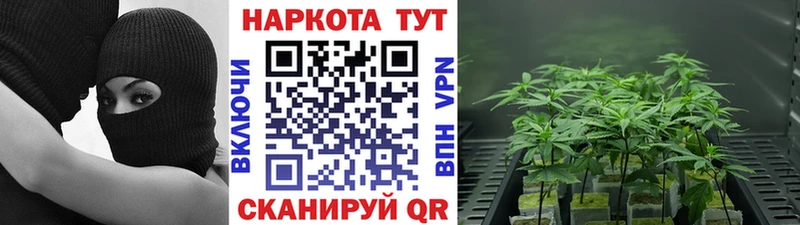 Все наркотики Починок АМФ  Alpha PVP  Псилоцибиновые грибы  ГАШ  Вейп ТГК  Конопля  КОКАИН 