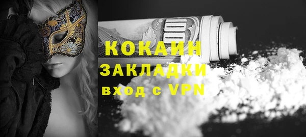 крисы Абаза