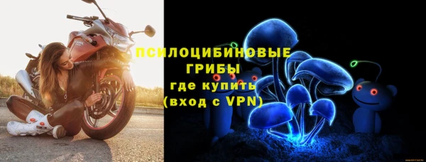 Альфа ПВП Нея