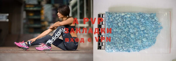 крисы Абаза