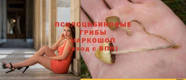 крисы Абаза