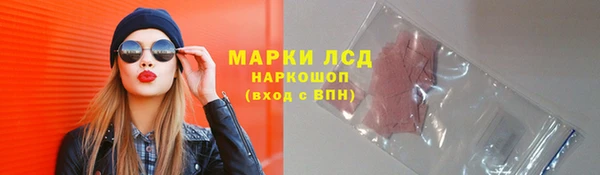 крисы Абаза