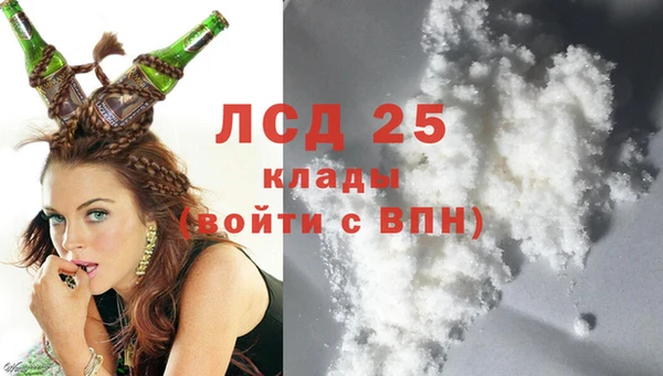 крисы Абаза