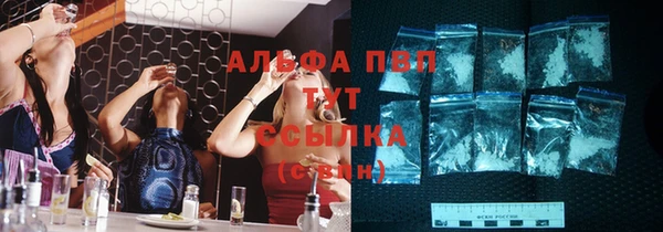 крисы Абаза