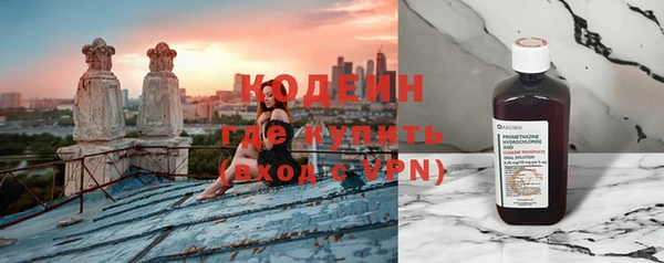 крисы Абаза